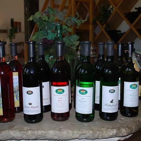 호텔 Park Schloss Rattey 4*